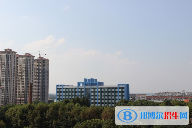 合肥通用職業(yè)技術學院單招成績查詢時間