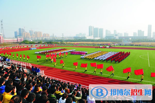滁州職業(yè)技術(shù)學(xué)院單招報名條件