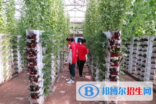紅河中專學校讀什么專業(yè)有前途