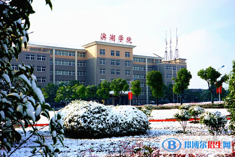 合肥濱湖職業(yè)技術(shù)學院單招簡章