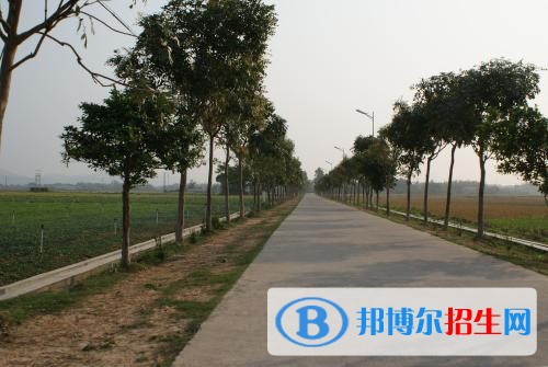 楚雄中專學校有哪些比較好