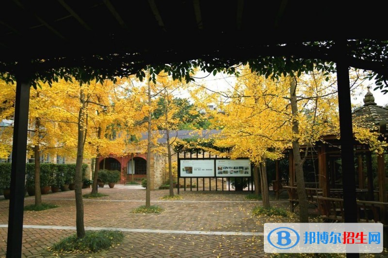 四川國際標榜職業(yè)學院五年制大專招生辦電話