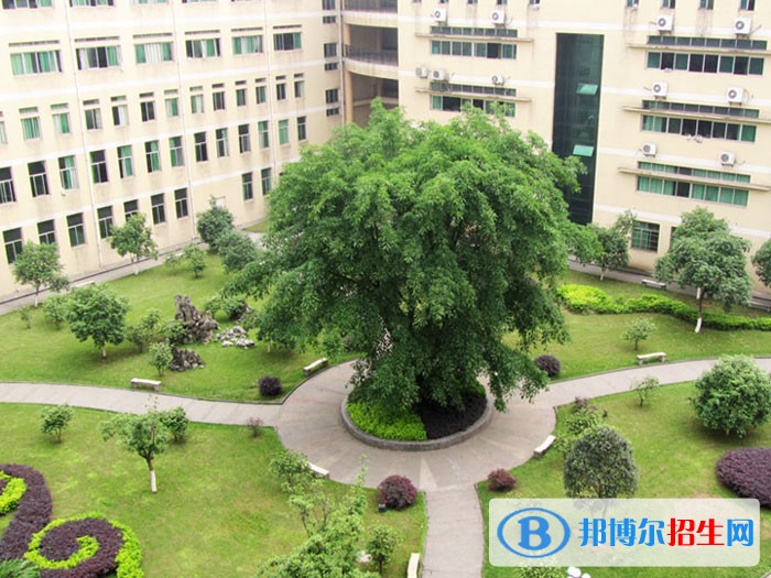 四川化工職業(yè)技術(shù)學(xué)院五年制大專學(xué)校地址