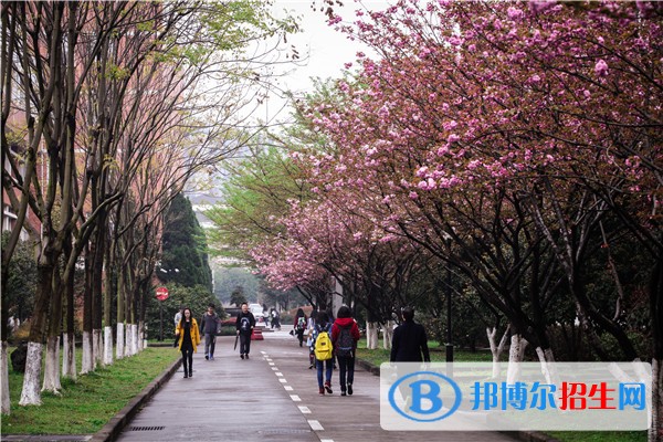 浙江機電職業(yè)技術(shù)學院2019年單招錄取分數(shù)線