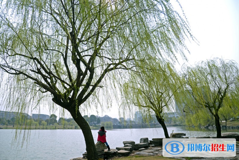金華職業(yè)技術學院2019年單招錄取分數(shù)線