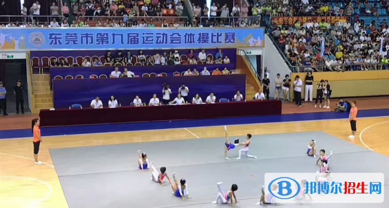 東莞體育運(yùn)動(dòng)學(xué)校招辦聯(lián)系電話