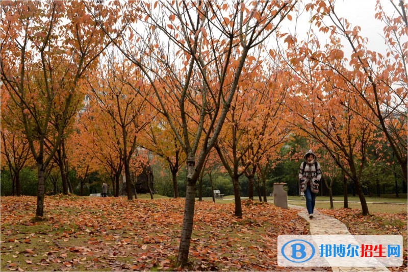 武漢軟件工程職業(yè)學(xué)院?jiǎn)握泻?jiǎn)章