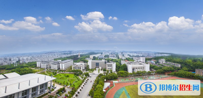 武漢職業(yè)技術(shù)學(xué)院?jiǎn)握袌?bào)名條件