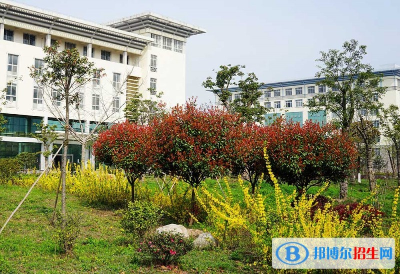湖北中醫(yī)藥高等?？茖W院單招簡章