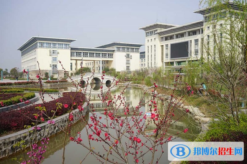 湖北中醫(yī)藥高等?？茖W院2019年單招錄取分數(shù)線