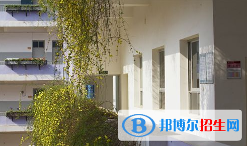 湖北藝術(shù)職業(yè)學(xué)院單招成績查詢時間