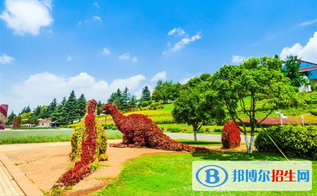 遂寧中專學校讀什么專業(yè)好