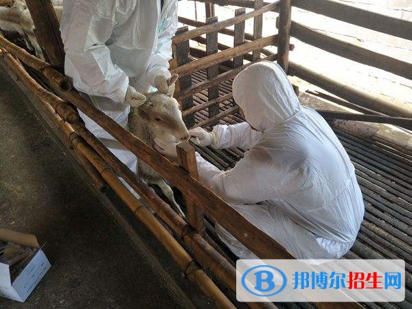 西安中專學(xué)校都能學(xué)什么