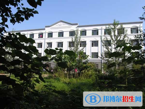 無極縣野風(fēng)美術(shù)中學(xué)2019年報名條件、招生對象
