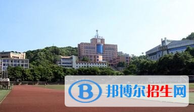 宜賓學(xué)院五年制大專(zhuān)2019年有哪些專(zhuān)業(yè)