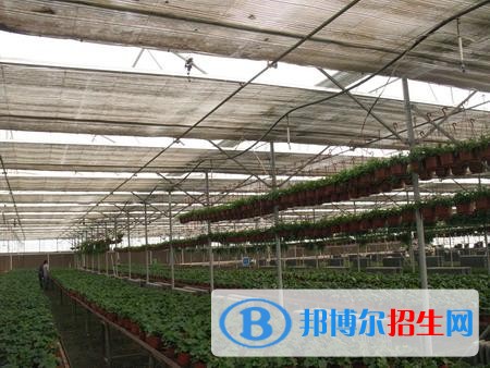 新疆生產(chǎn)建設兵團興新職業(yè)技術學院單招2019年單獨招生成績查詢、網(wǎng)址入口