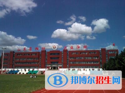 濰坊護(hù)理職業(yè)學(xué)院?jiǎn)握?019年單獨(dú)招生成績(jī)查詢(xún)、網(wǎng)址入口