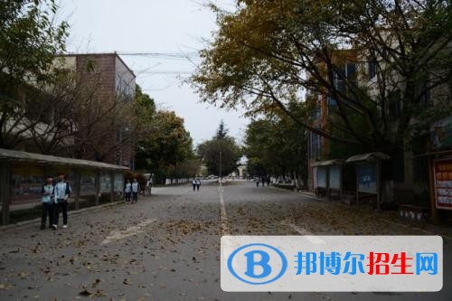 四川大學職業(yè)技術學院五年制大專2019年招生辦聯(lián)系電話