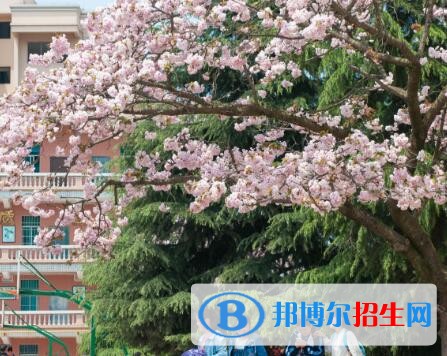 安順第三高級(jí)中學(xué)2019年報(bào)名條件、招生要求、招生對(duì)象