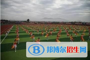 渤海船舶職業(yè)學(xué)院?jiǎn)握?019年單獨(dú)招生成績(jī)查詢、網(wǎng)址入口