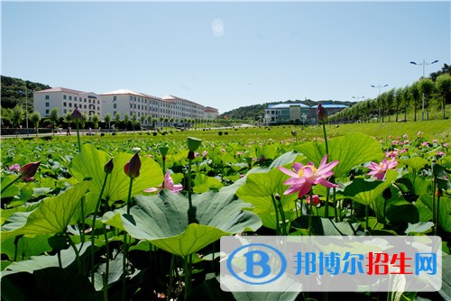 遼寧職業(yè)學(xué)院單招2019年有哪些專業(yè)