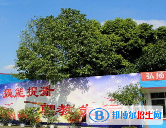成都棠湖科學技術學校3