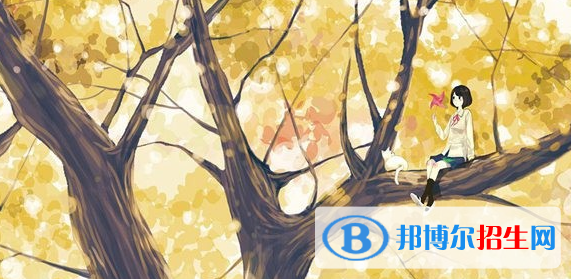不正規(guī)幼兒園才會導致虐童事件
