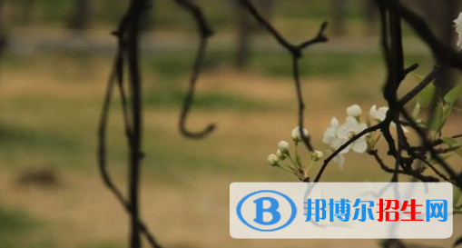 洱源縣職業(yè)高級中學