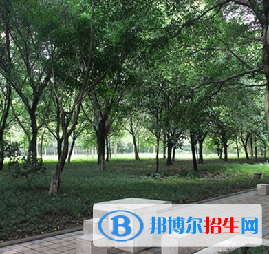 377分可以進重慶哪所衛(wèi)校
