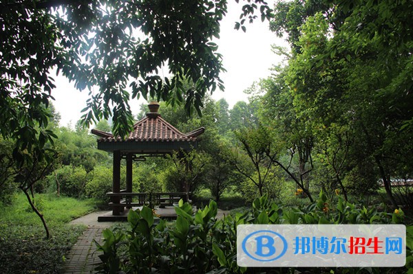 重慶初中畢業(yè)后去衛(wèi)校怎么樣