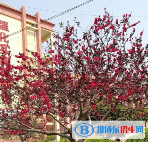 西安臨潼區(qū)職業(yè)教育中心2020年報名條件、招生要求、招生對象