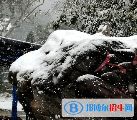 http://www.qirb.com.cn/ujxtyjsgcxx/