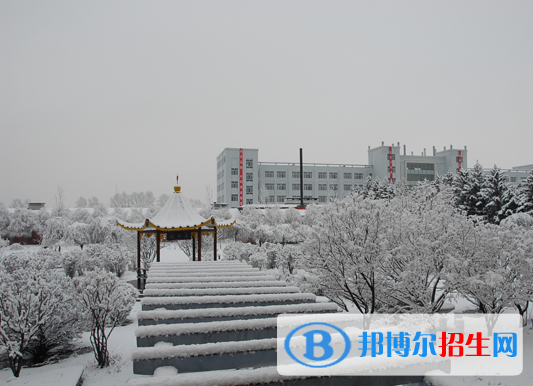佳木斯職業(yè)學院單招2020年單獨招生成績查詢、網(wǎng)址入口 