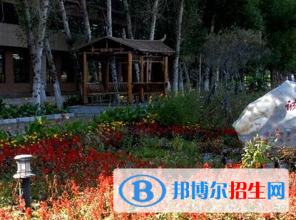 佳木斯職業(yè)學(xué)院?jiǎn)握?020年單獨(dú)招生報(bào)名時(shí)間、網(wǎng)址入口  