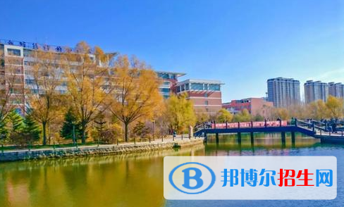 黑龍江生物科技職業(yè)學(xué)院單招2020年單獨招生成績查詢、網(wǎng)址入口