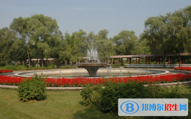 大慶職業(yè)學(xué)院單招2020年單獨招生報名時間、網(wǎng)址入口