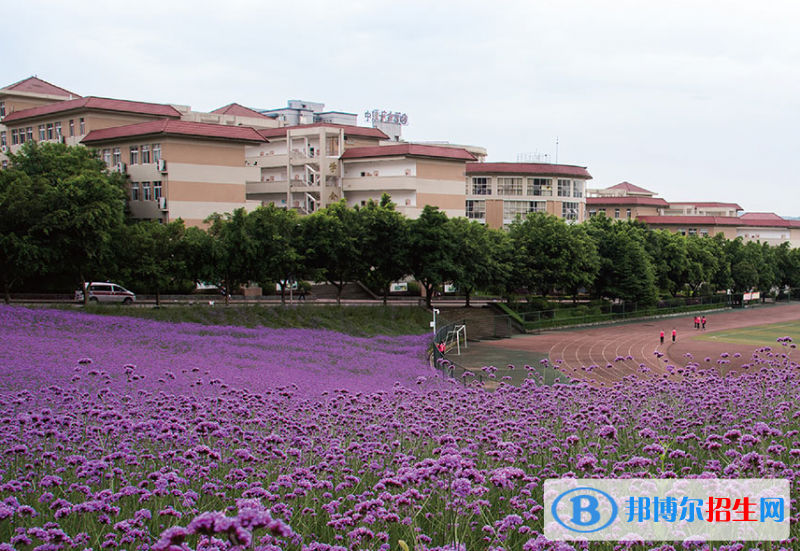 重慶女子職業(yè)高級中學(xué)網(wǎng)站網(wǎng)址