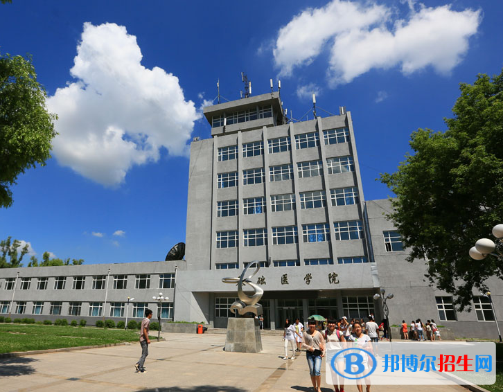 黑龍江護(hù)理高等專科學(xué)校單招2020年單獨(dú)招生成績(jī)查詢、網(wǎng)址入口