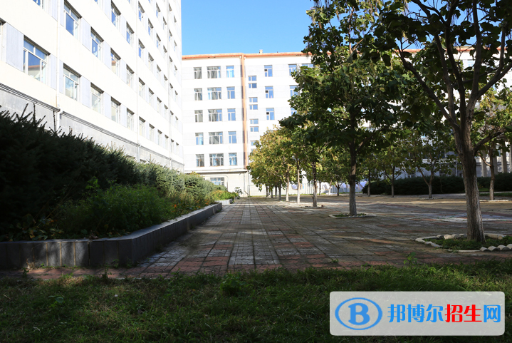 黑龍江護理高等?？茖W(xué)校單招2020年單獨招生報名時間、網(wǎng)址入口