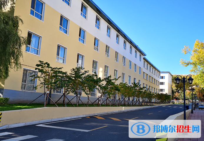 黑龍江幼兒師范高等專科學校單招2020年單獨招生報名時間、網(wǎng)址入口