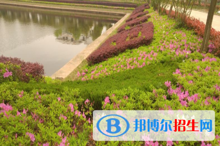 江西東方舞蹈學(xué)校怎么樣、好不好