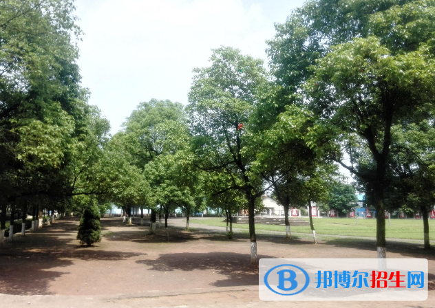 湖南2020年鐵路學(xué)校有哪些專(zhuān)業(yè)可以學(xué)