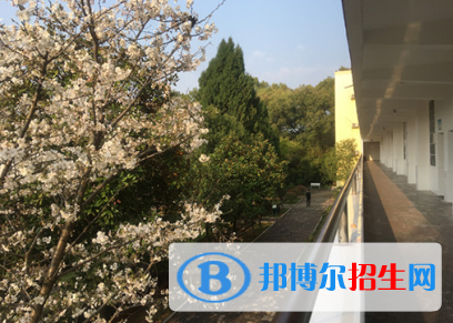 湖南2020年鐵路學(xué)校什么專(zhuān)業(yè)有前途