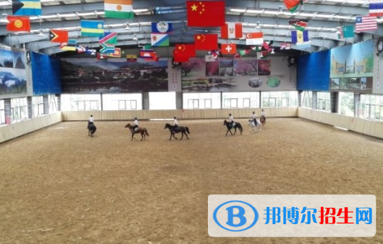 宜黃職業(yè)教育中心怎么樣、好不好