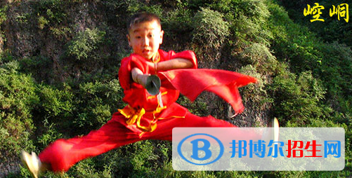 平?jīng)鲠轻嘉奈鋵W(xué)校2020年學(xué)費(fèi)、收費(fèi)多少