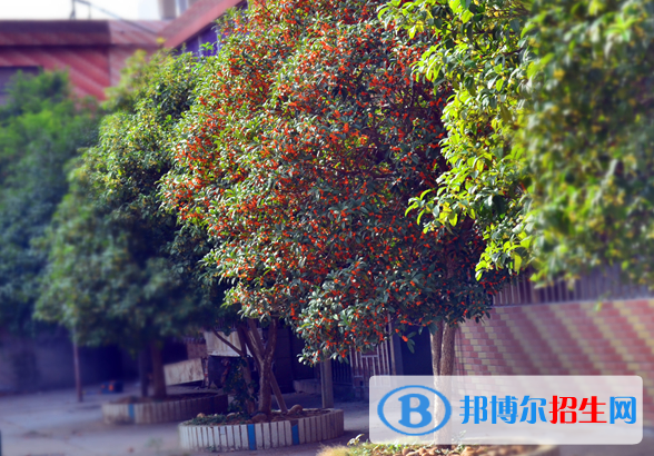 贛州育才職業(yè)中等專業(yè)學(xué)校2020年招生簡章
