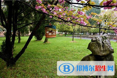 貴州林業(yè)學校2020年報名條件、招生要求、招生對象
