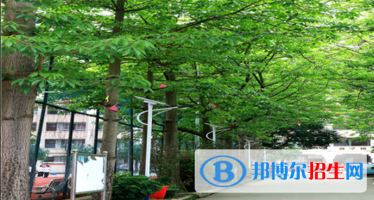 蒼梧中等專業(yè)學校2020年報名條件、招生要求、招生對象