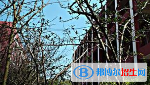 上思中等職業(yè)技術(shù)學校地址在哪里