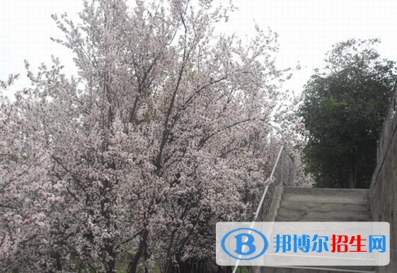 保康職教中心學(xué)校網(wǎng)址網(wǎng)站